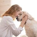 犬が飼い主に対して…