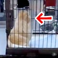 トリミングサロンへ…