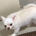 びっくりした～。。…