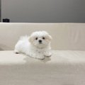 反則級の可愛さ！遊…