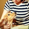 実は愛犬が喜んでい…