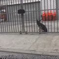 閉じ込められ脱水状…