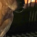 『ちょっと抱っこし…