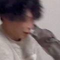 鼻にティッシュを入…