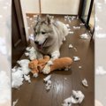 やるときはやる！男…