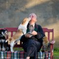 犬が見せる「好きな…