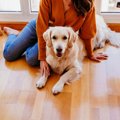 動物行動学の専門家…