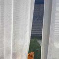 隣の部屋から『クゥ…
