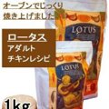 ロータスドッグフー…