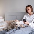 犬の飼い主が無意識…