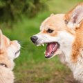 今すぐ直すべき『愛…