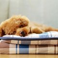 嬉しいだけじゃない…