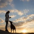 犬が誤飲すると死ん…