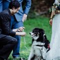 感動！新郎が新婦に…