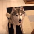 今まで元気だったの…