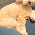 急に雨が降ってきた…