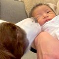 妊娠中、ずっと寄り…