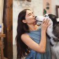 犬が飼い主の顔を舐…
