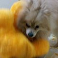 雨の日はお家の中で…