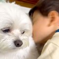 男の子が犬に『全力…