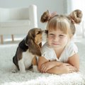 犬が人のニオイを嗅…