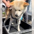 「聞いてない…」想定…