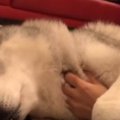 怪しげな動きで近づ…