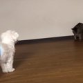 キックオフ！手に汗…