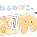 ふわふわぽこ。【第1…