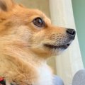 外をチェックしよう…