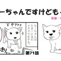 ちーちゃんですけど…