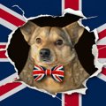 犬を飼うのに「犬税…
