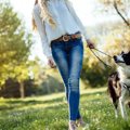 愛犬の歩き方がいつ…