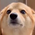 家に帰ったら玄関ま…