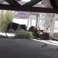 人が怖くてもパート…