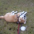 夏の暑い日に来たワ…