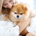 小型犬の飼い主が必…