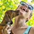 犬の『舐める行動』…