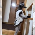 【爆笑】背筋ピーン…