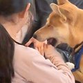 テンション高めで遊…