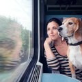 愛犬と電車やタクシ…