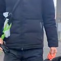 犬が散歩で歩かなく…