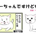 ちーちゃんですけど…