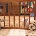 【話題】赤ちゃんの…