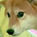 生後5ヵ月の赤ちゃん…