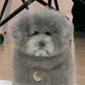 仕事のミーティング…