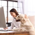 犬が飼い主にちょっ…