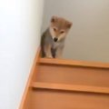 帰るたび『おかえり…