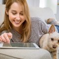 愛犬も保険に入れば…