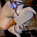 夜、31キロの大型犬…